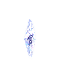 Condor Flame Craft Interface