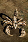 Bone Scorpion