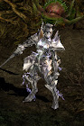 Dark Elf (Trainee)