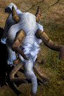 Giant Mammoth