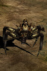 Hell Spider