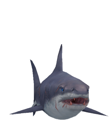 Megalodon