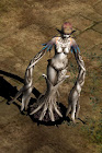 Sapi Queen