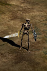 Skeleton
