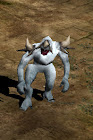 Yeti