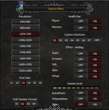 Options Menu